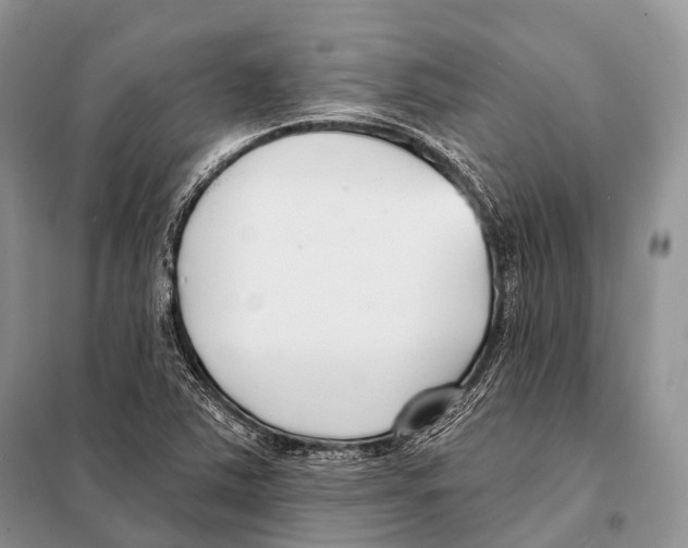 X0000098111363200805021123