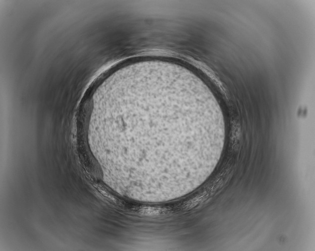 X0000098111364200805021123