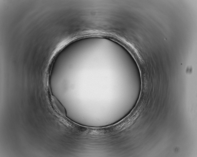 X0000098111365200805021123