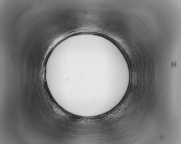 X0000098111366200805021123