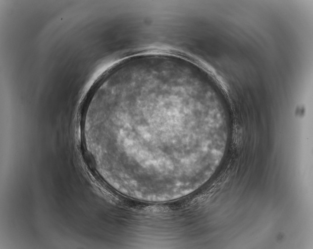 X0000098111368200805021123