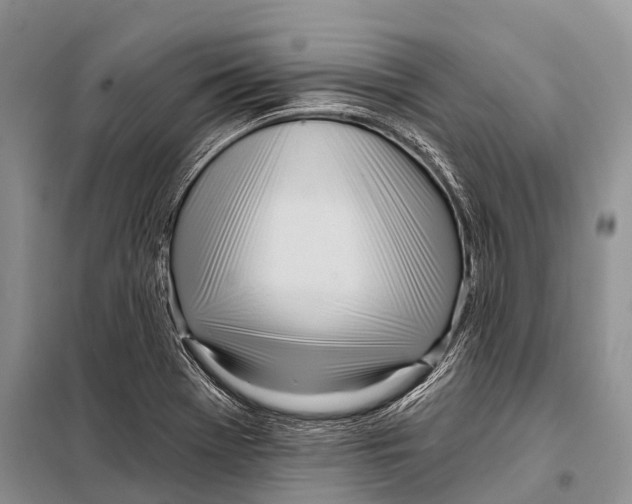 X0000098111369200805021123