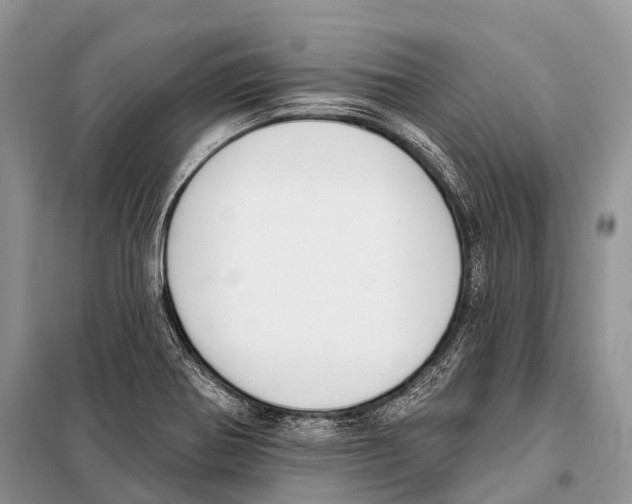 X0000098111370200805021123