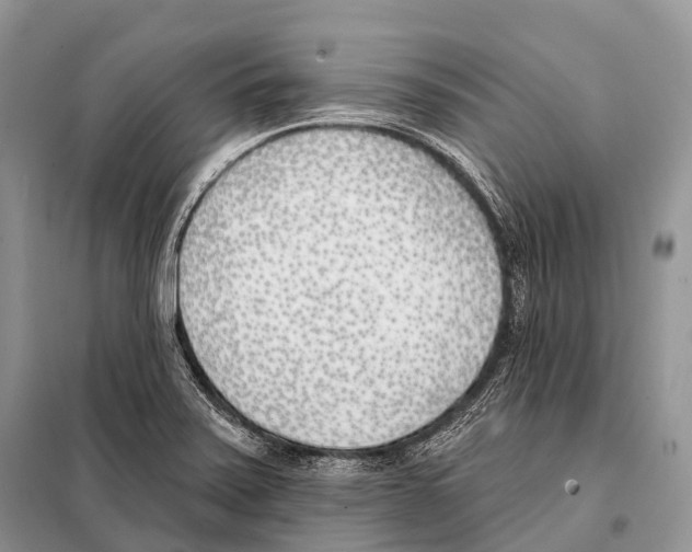 X0000098111371200805021123