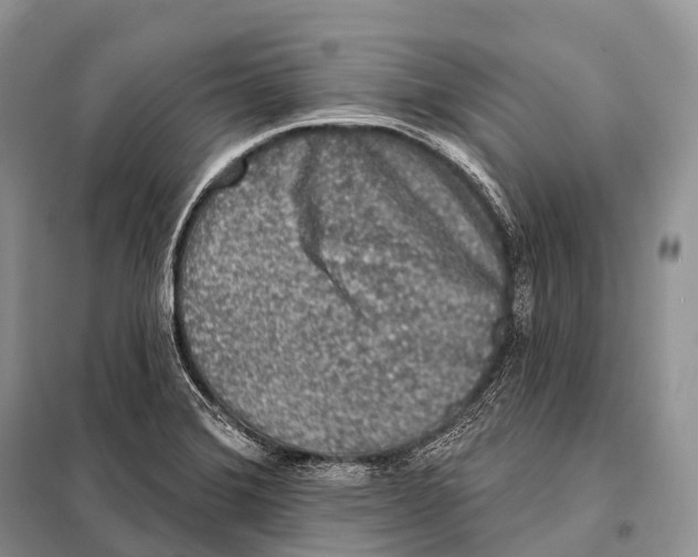 X0000098111372200805021123