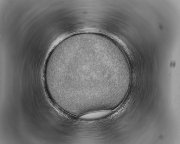 X0000098111373200805021123