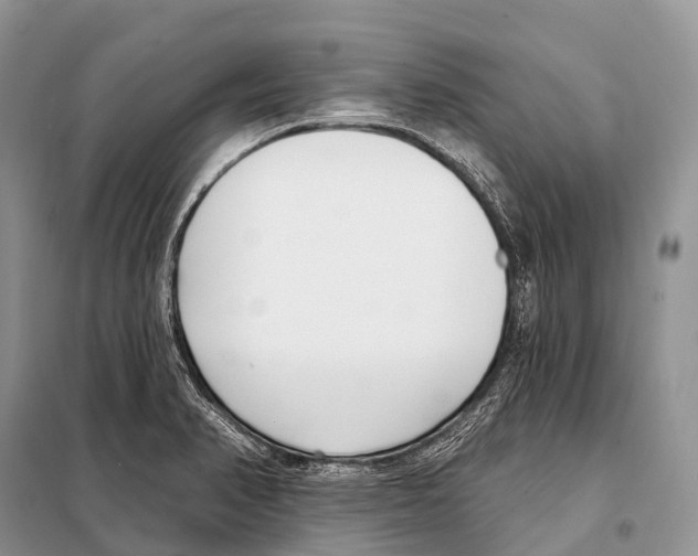 X0000098111374200805021123