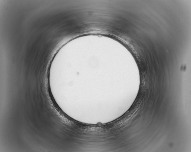 X0000098111375200805021123