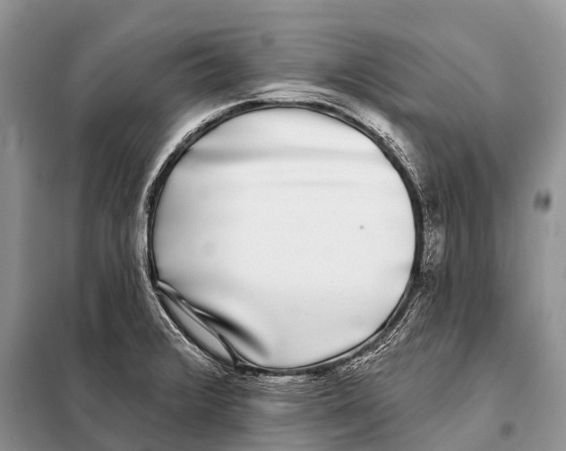 X0000098111376200805021123