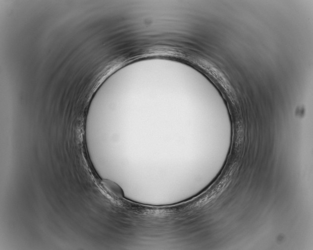 X0000098111377200805021123