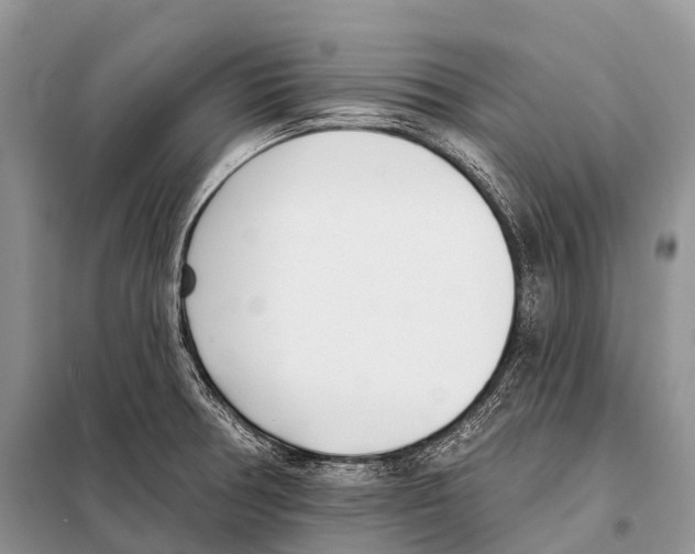 X0000098111378200805021123