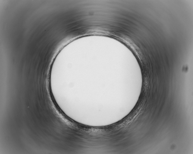 X0000098111379200805021123