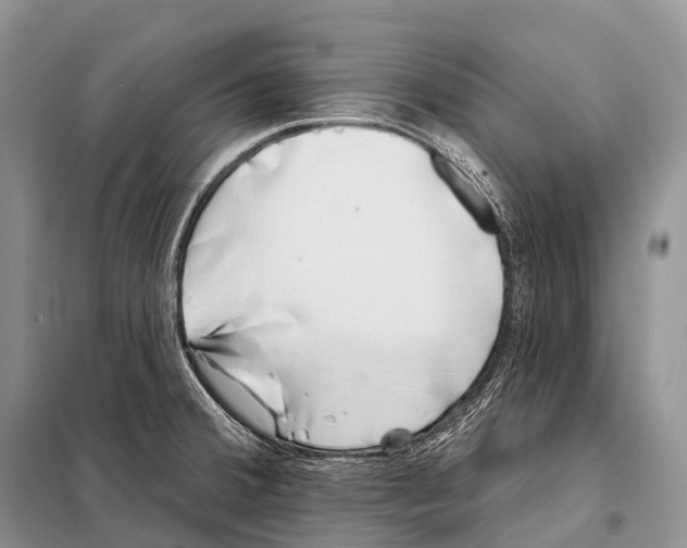 X0000098111380200805021123