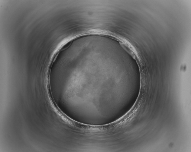 X0000098111381200805021123