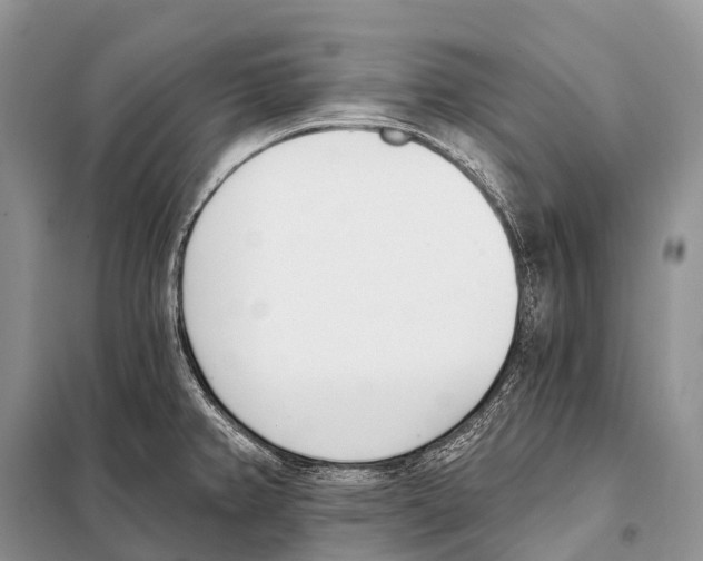 X0000098111382200805021123