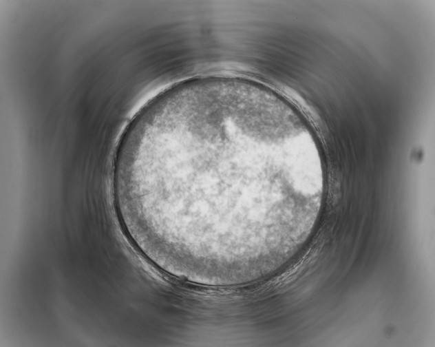 X0000098111384200805021123