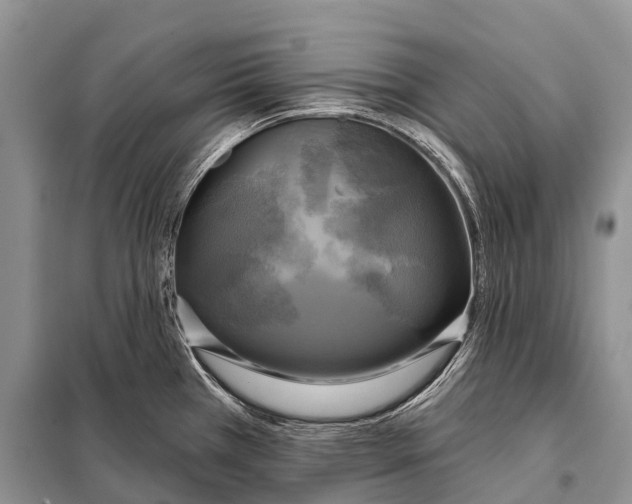 X0000098111385200805021123