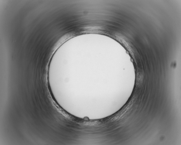 X0000098111386200805021123