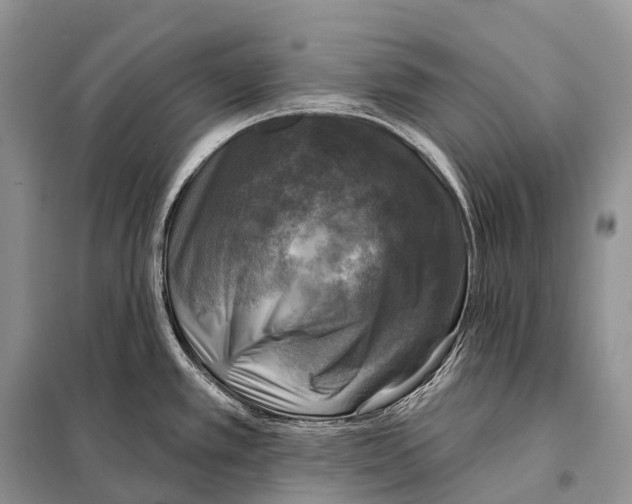 X0000098111389200805021123