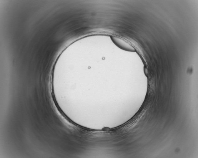 X0000098111391200805021123