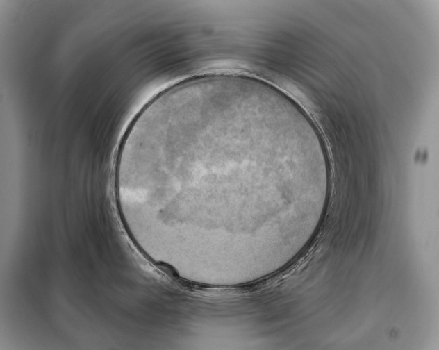 X0000098111392200805021123