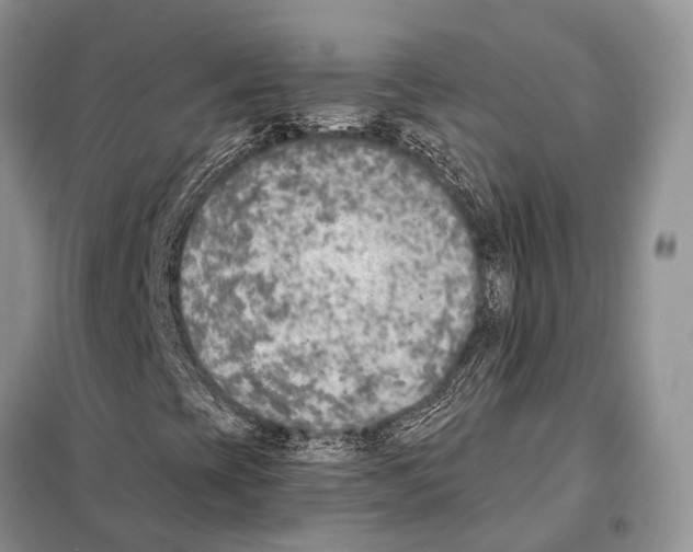 X0000098111393200805021122