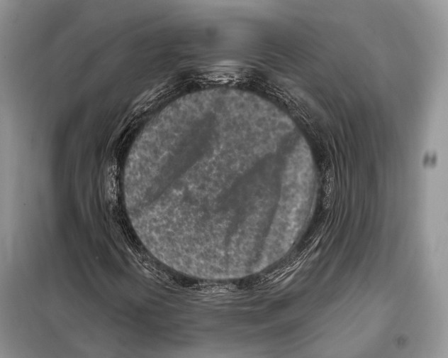 X0000098111394200805021122