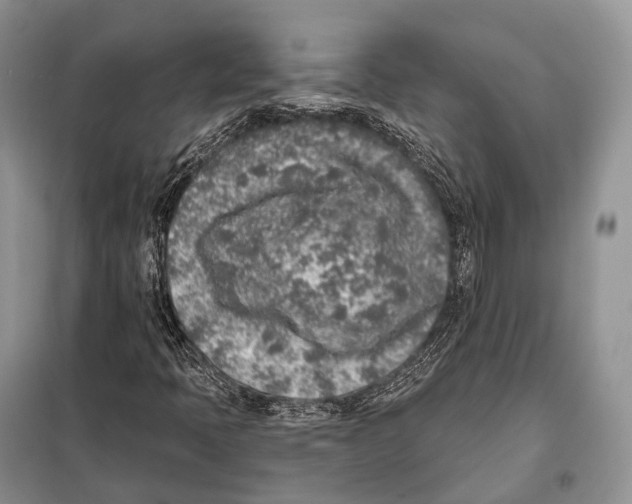 X0000098111397200805021122