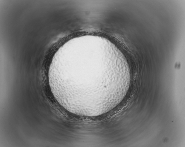 X0000098111398200805021122