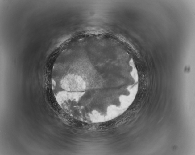 X0000098111399200805021122