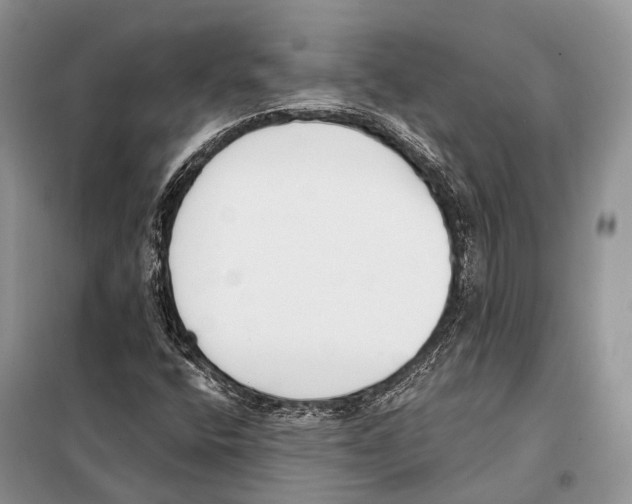 X0000098111400200805021122