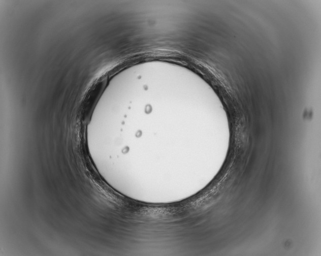 X0000098111402200805021122