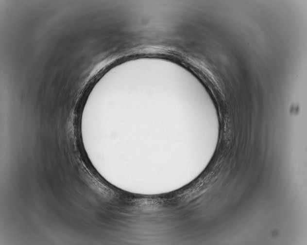 X0000098111404200805021122