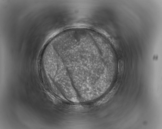 X0000098111405200805021122