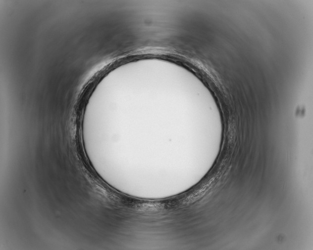 X0000098111406200805021122