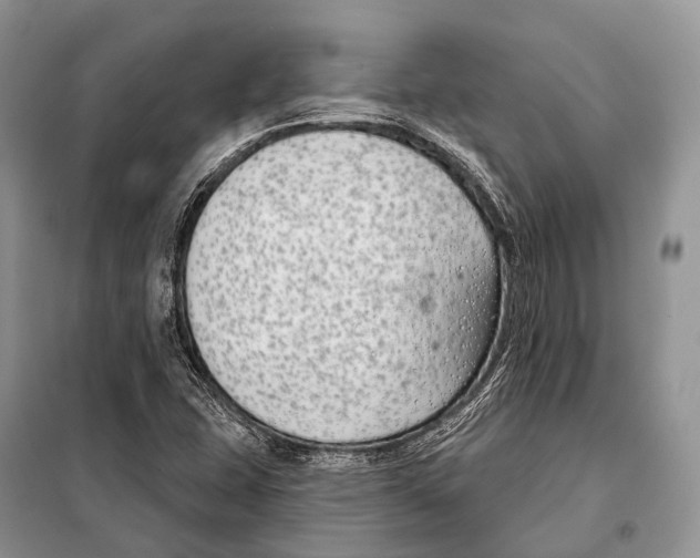 X0000098111407200805021122