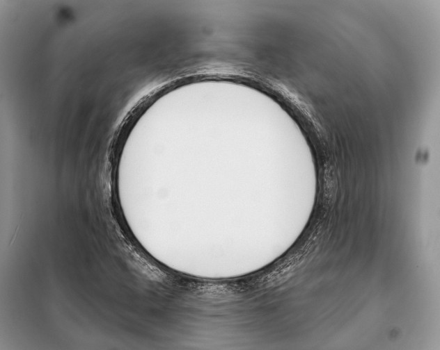 X0000098111408200805021122