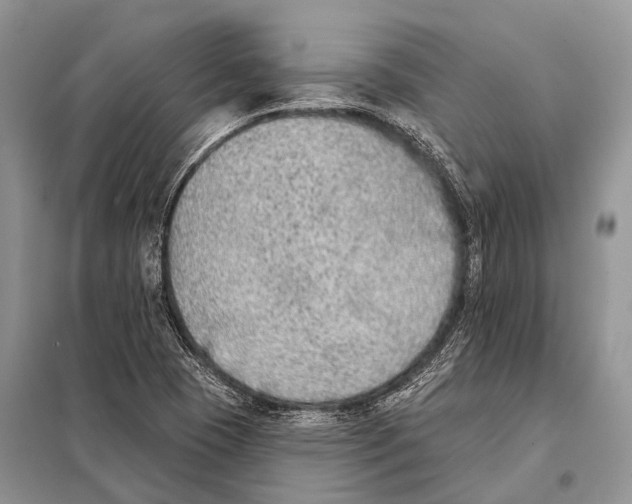 X0000098111409200805021122