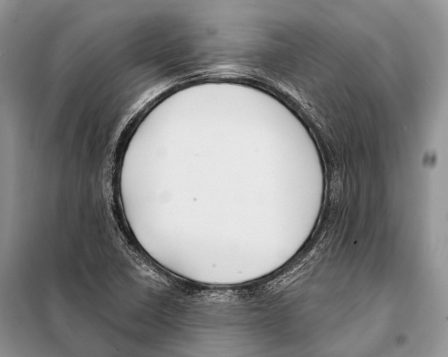 X0000098111410200805021122