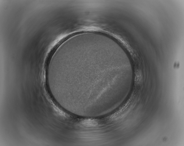 X0000098111414200805021122