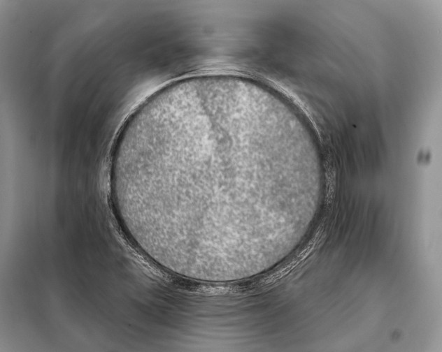 X0000098111415200805021122