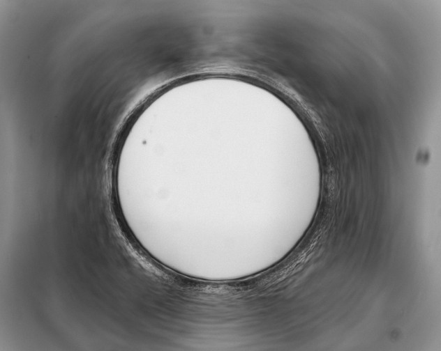 X0000098111416200805021122