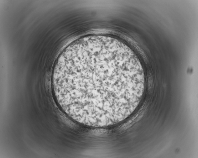 X0000098111417200805021122