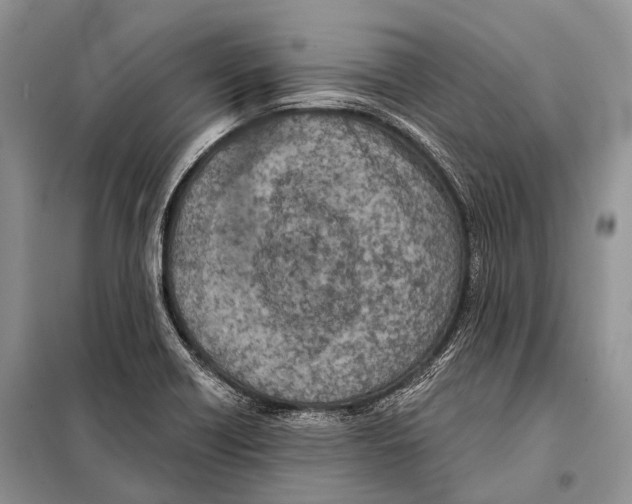 X0000098111418200805021122