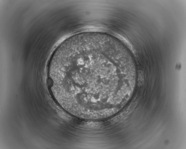 X0000098111419200805021122