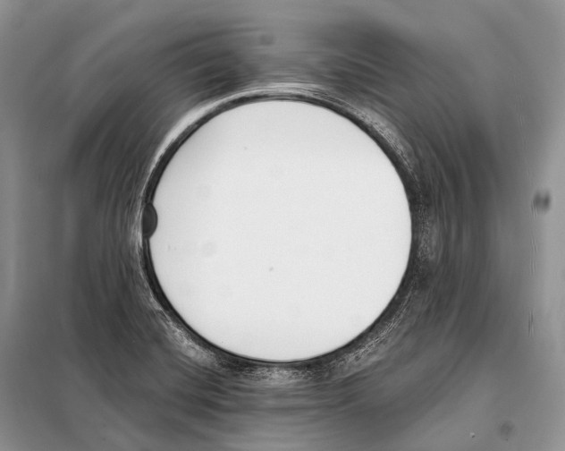 X0000098111420200805021122