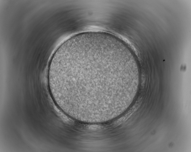 X0000098111421200805021122