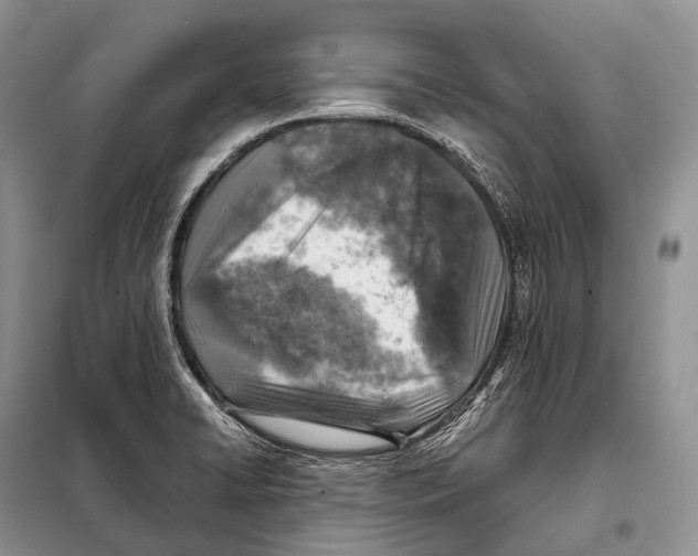 X0000098111422200805021122