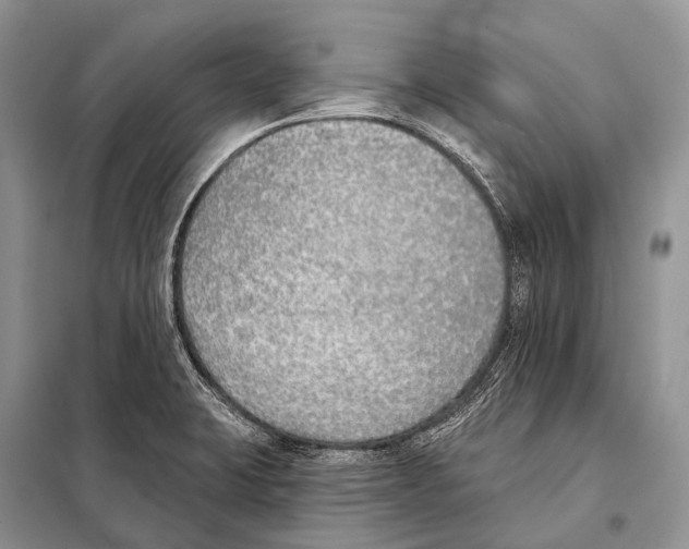 X0000098111423200805021122