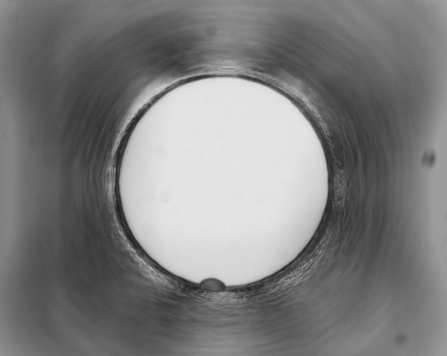 X0000098111424200805021122